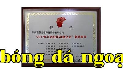 Doanh nghiệp kinh tế tỉnh Giang Tây xuất sắc năm 2017