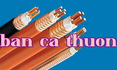 Hình ảnh sản phẩm cáp - Cáp điều khiển chống cháy