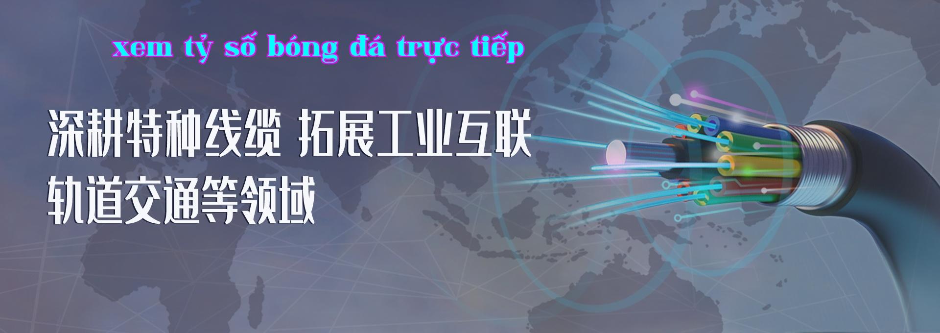 Nghiên cứu chuyên sâu về dây cáp đặc biệt