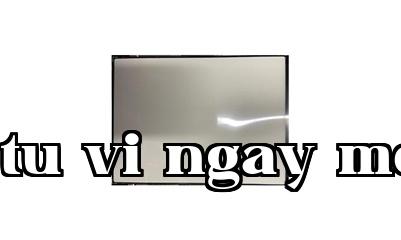 Màn hình 11 inch