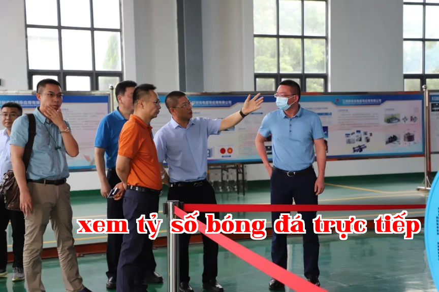 Lãnh đạo Hiệp hội Công nghiệp Chế biến Kim loại Màu Trung Quốc đến thăm và điều tra tại Công ty Liên Siêu dẫn